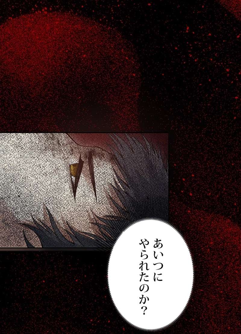 P62