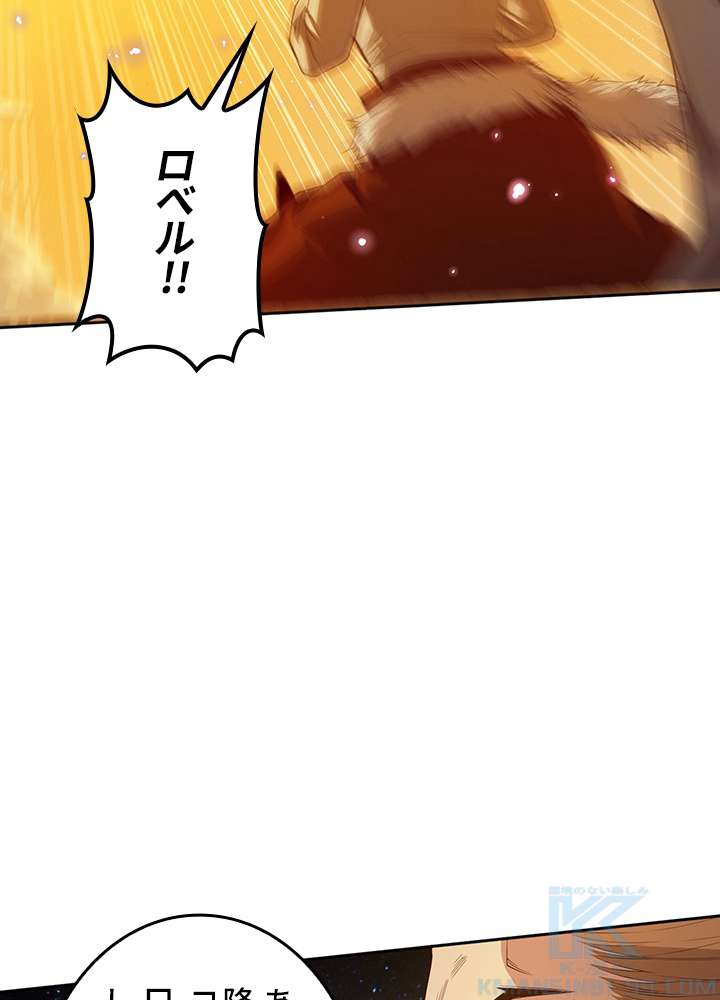 P58