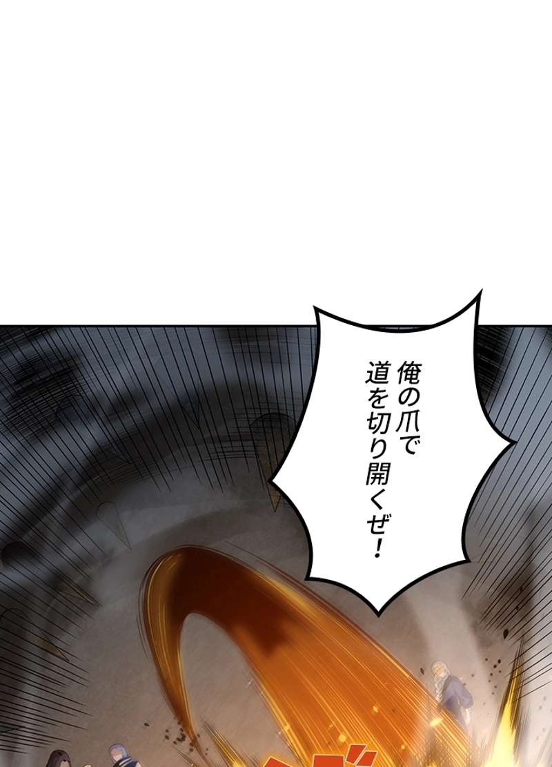 P66