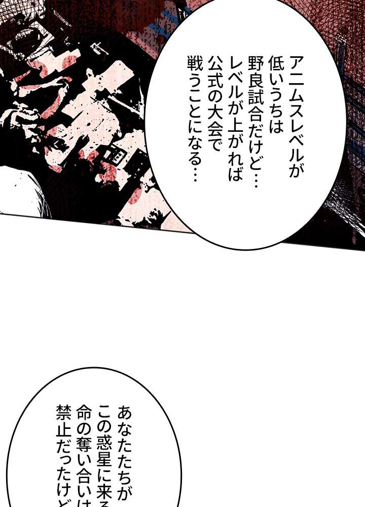 P84