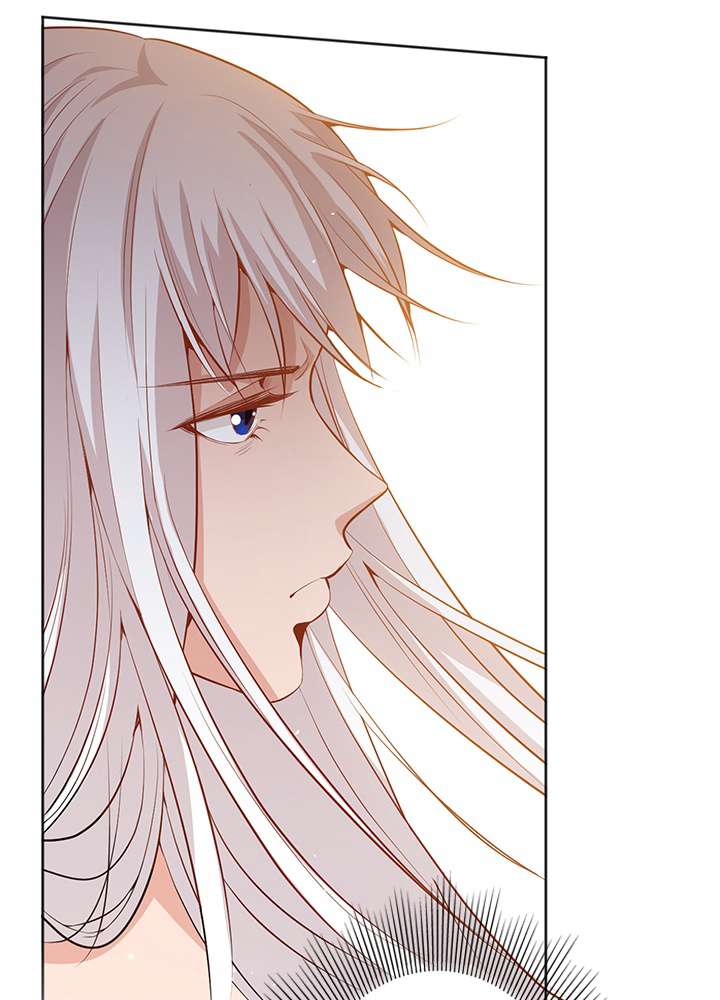 P66
