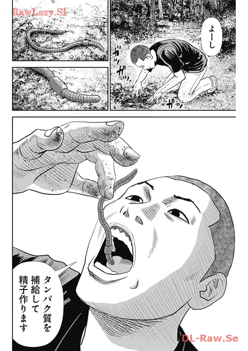 P20