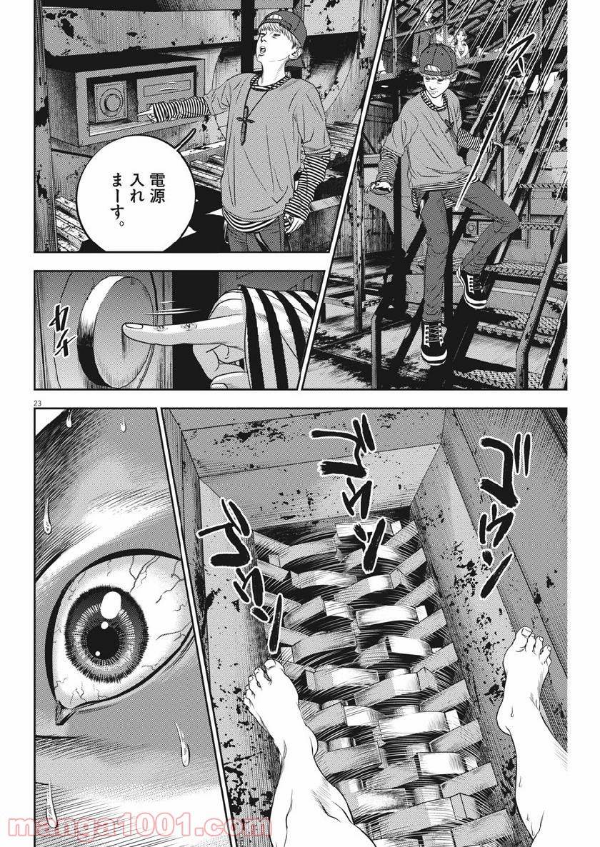 P23