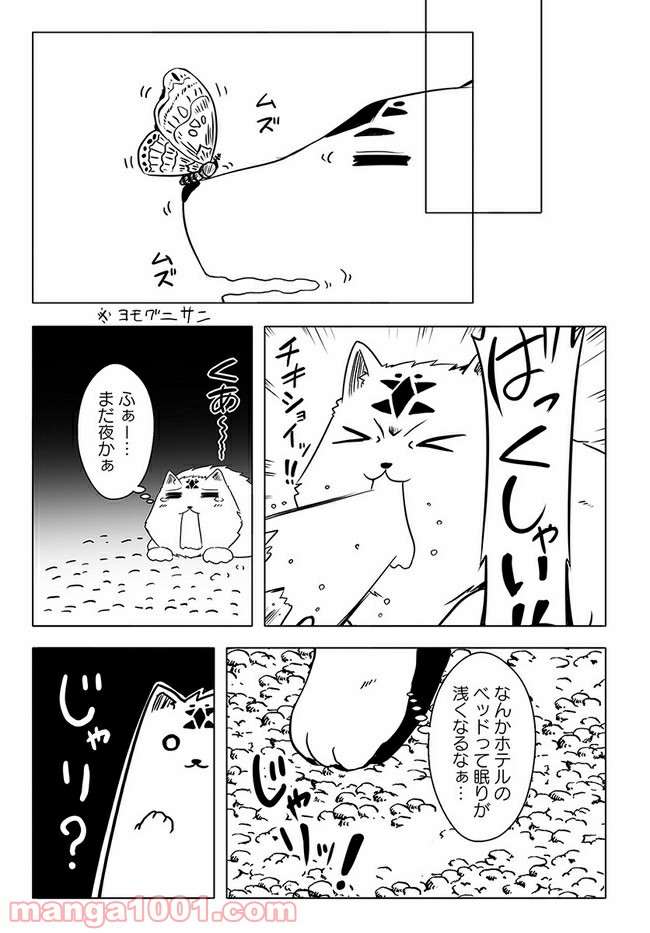 P11