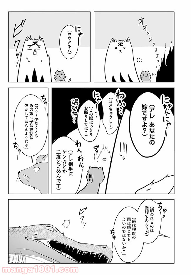 P29
