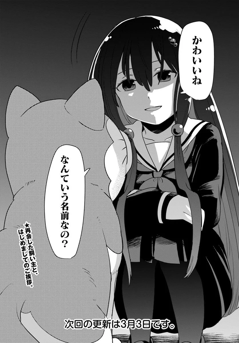 P20
