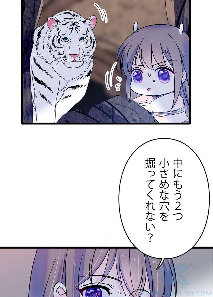 P58