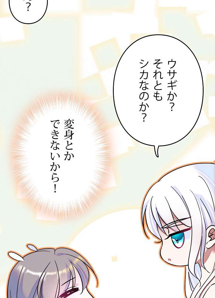 P53
