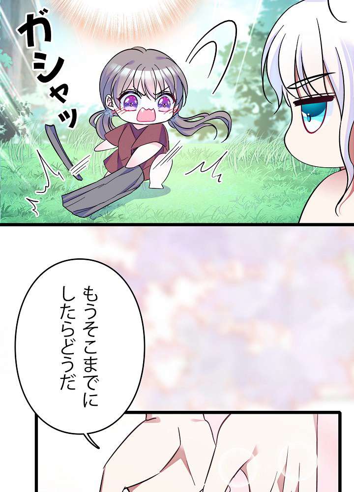 P66