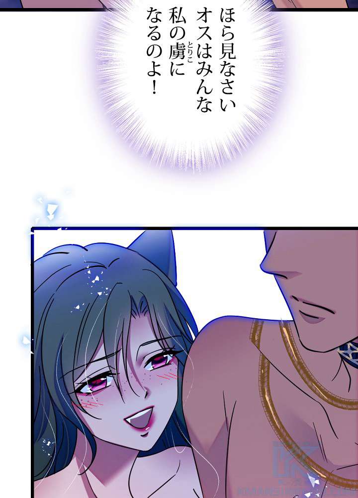 P61