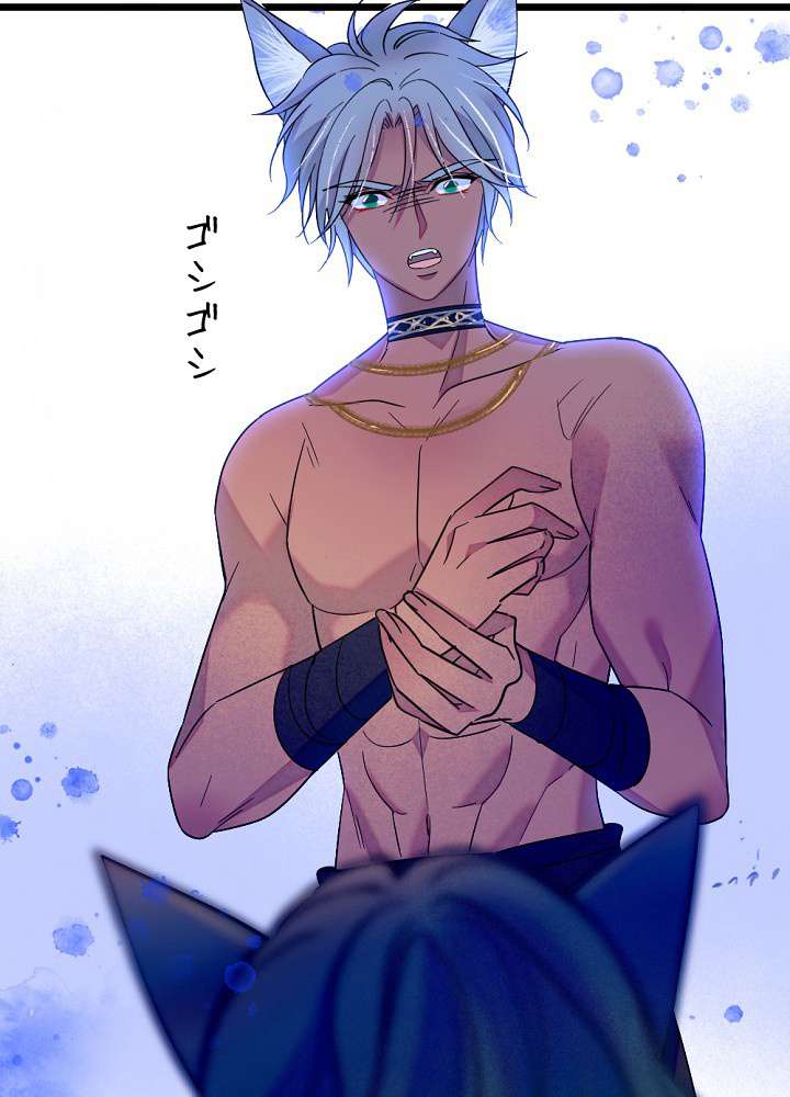 P66