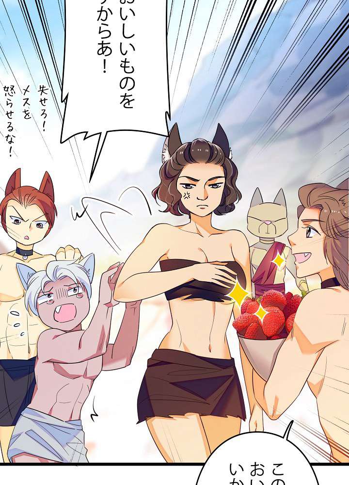 P53