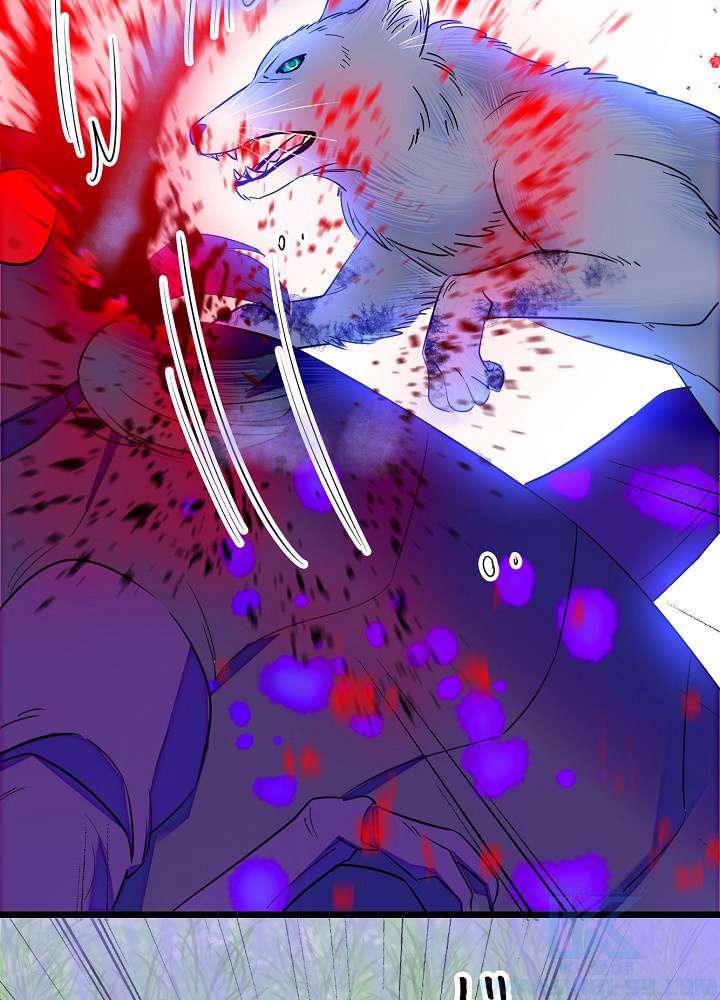 P46