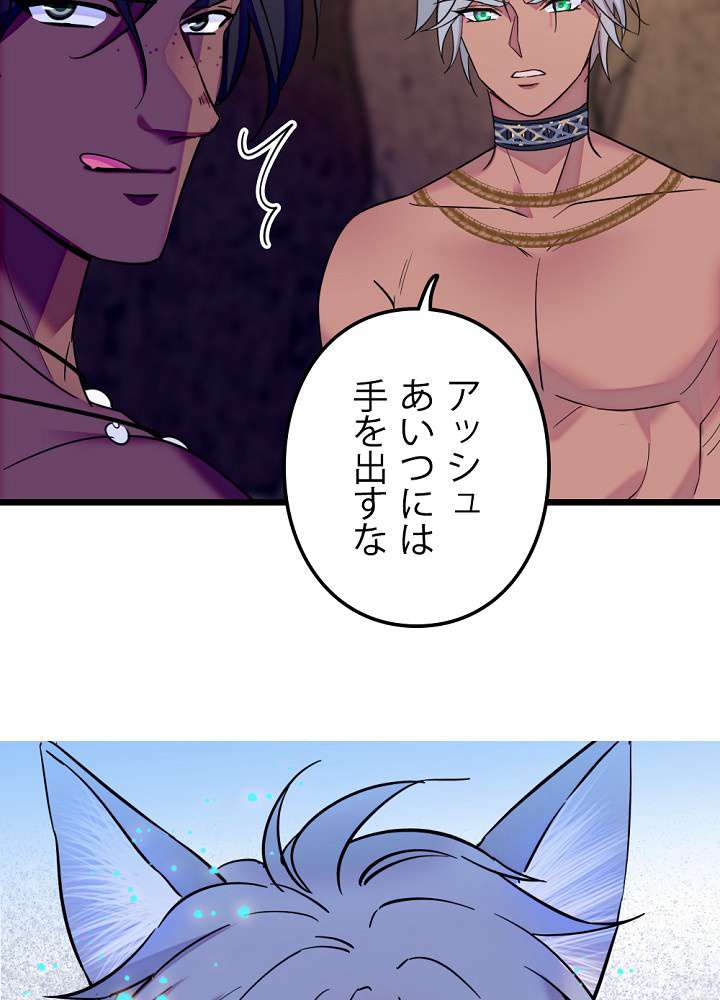 P53