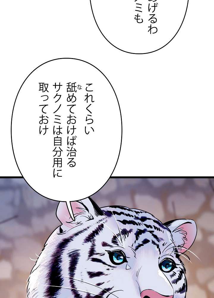 P42