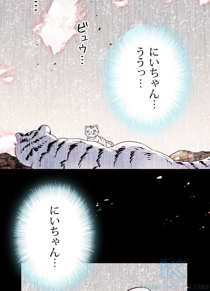 P61