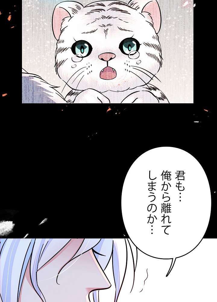 P62