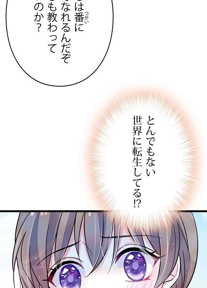 P65