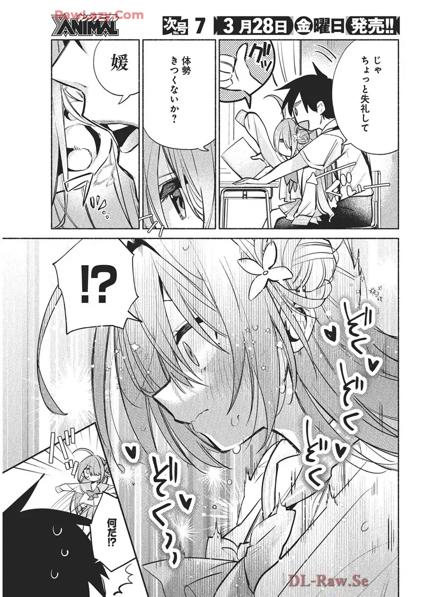 P23