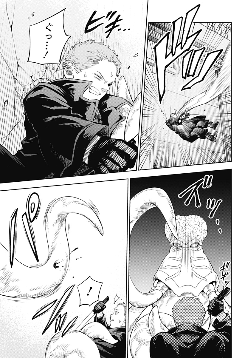 P31