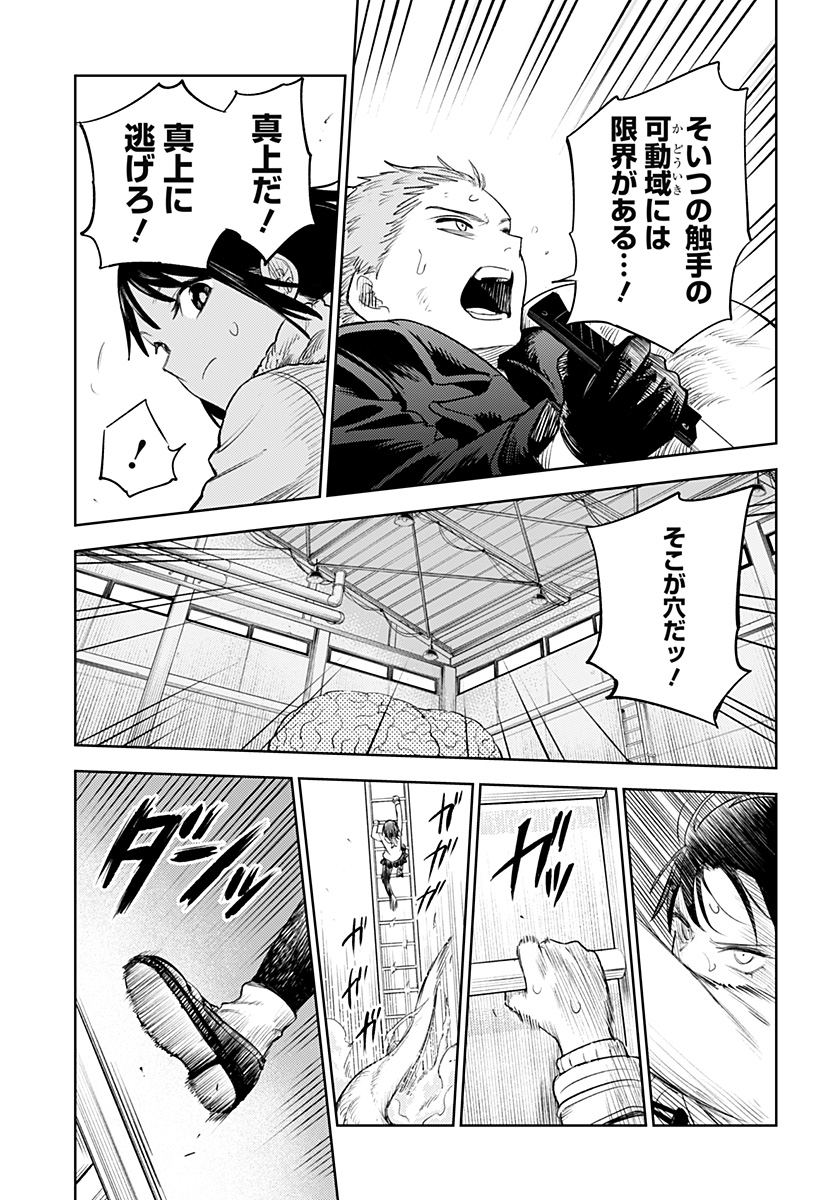 P41