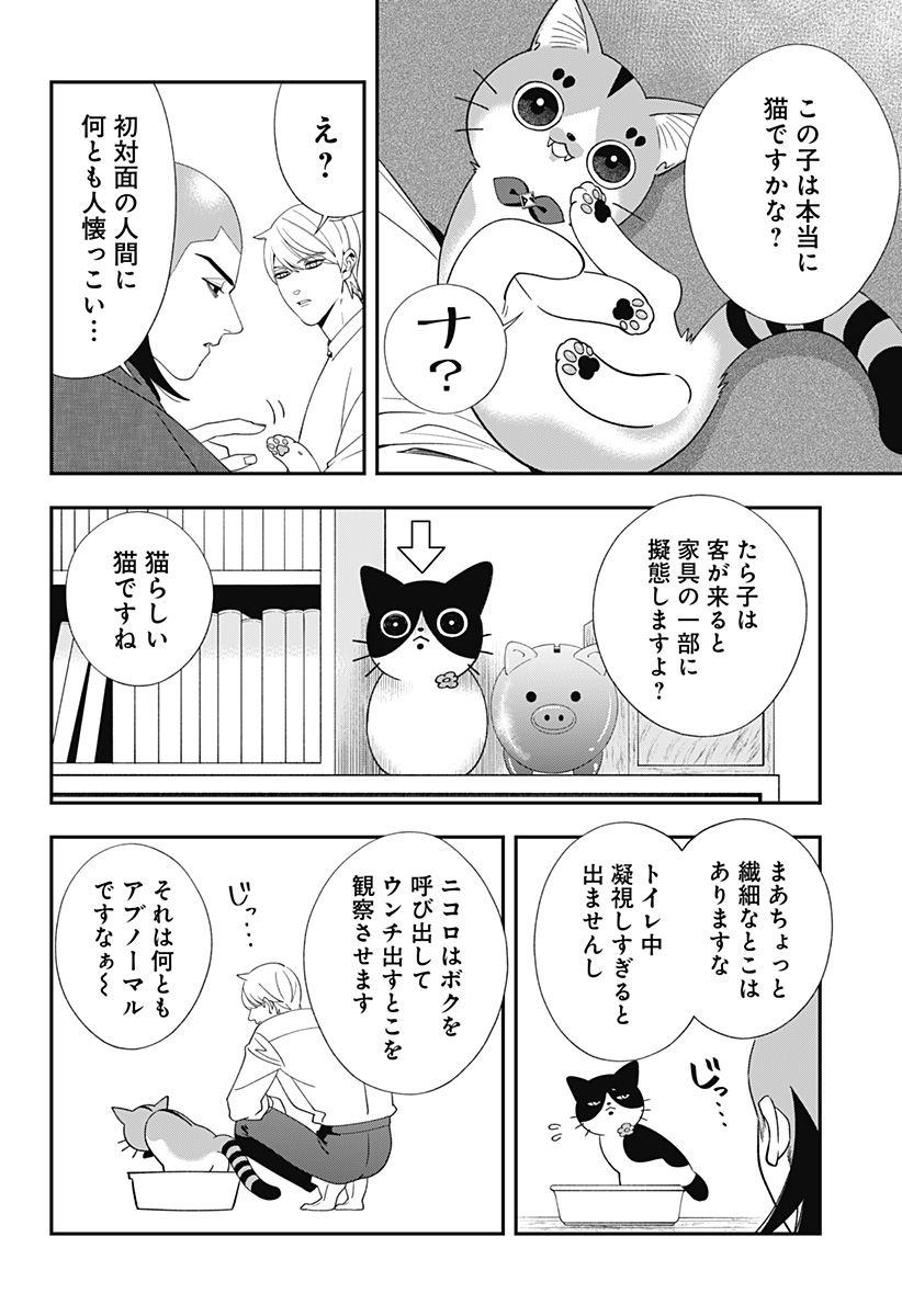 P6