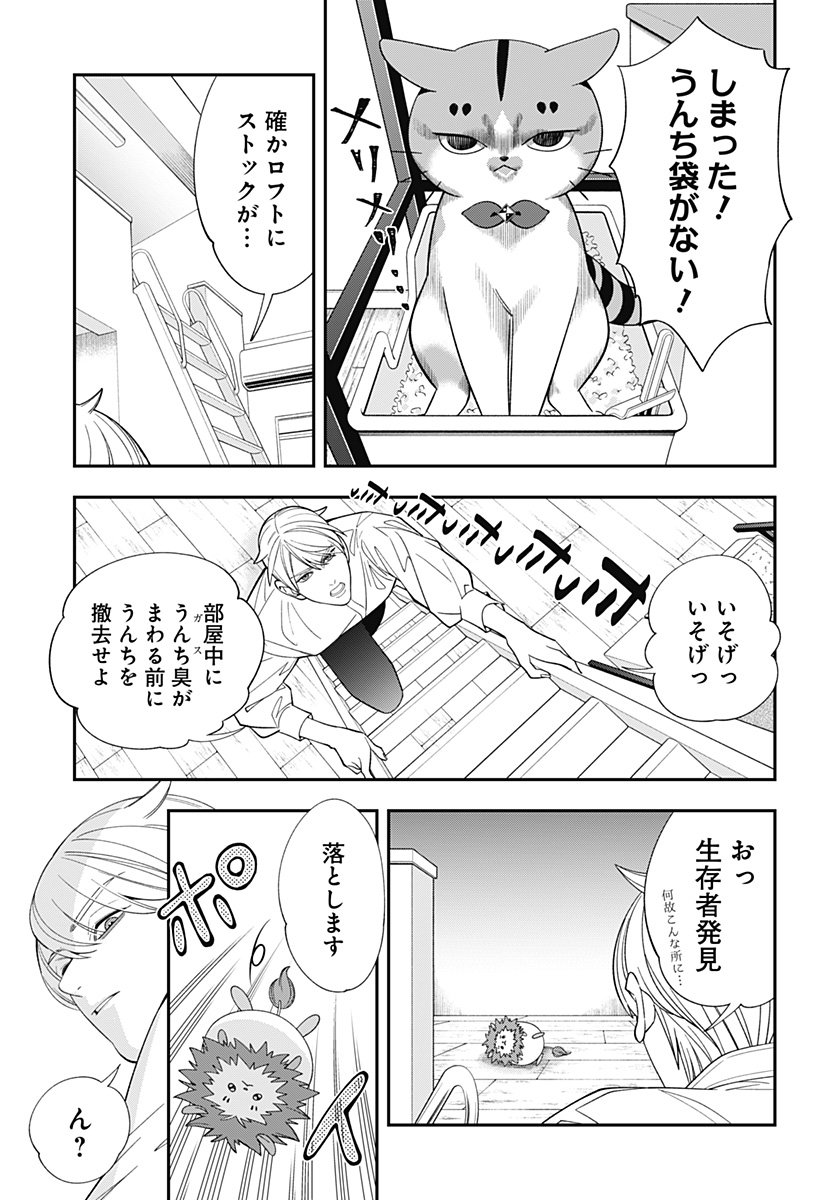 P5