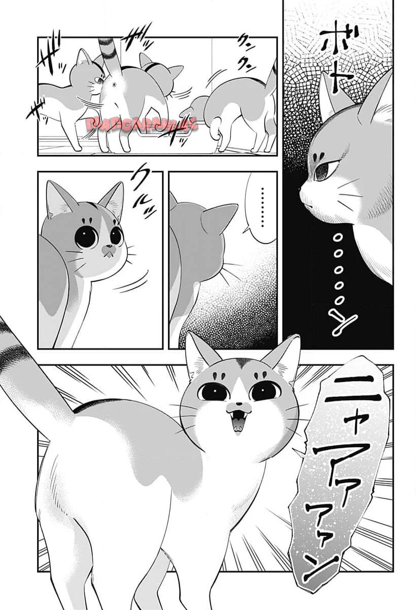 P44