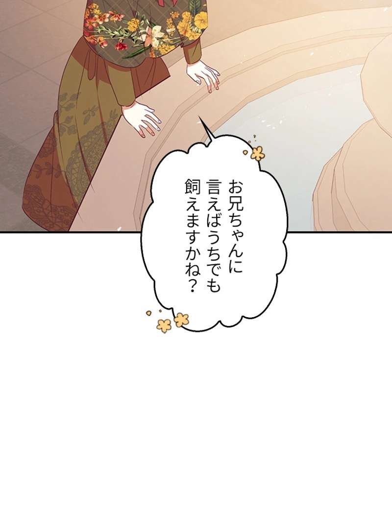 P82