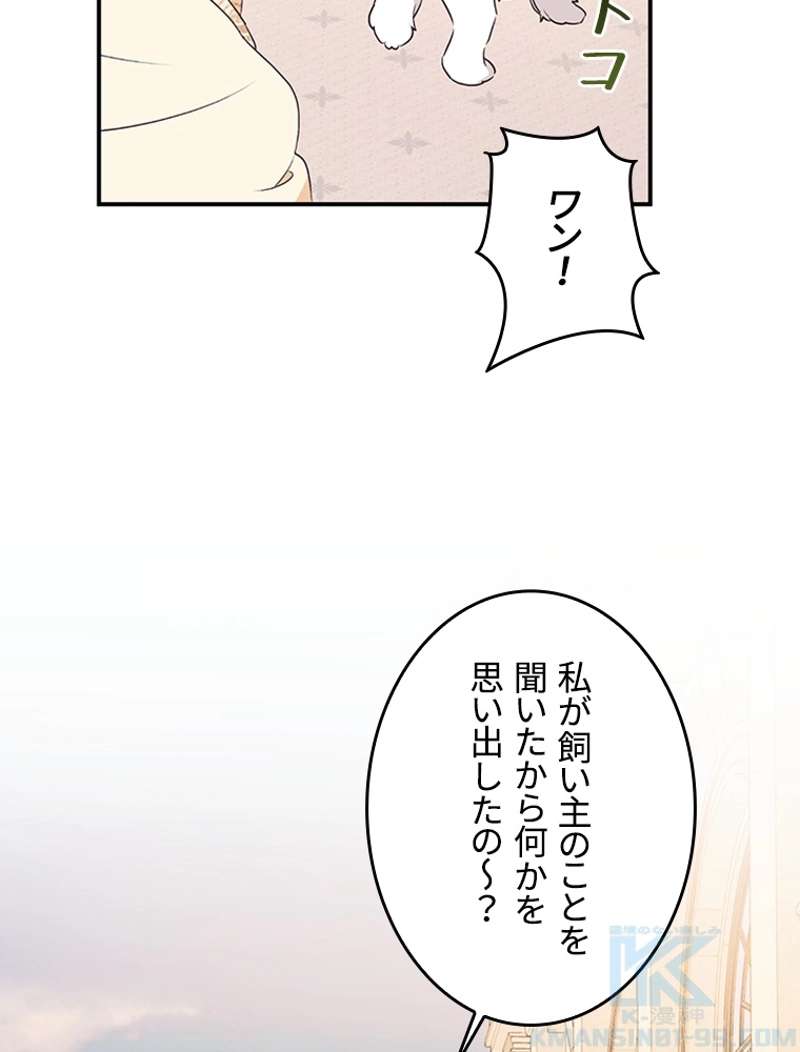 P43