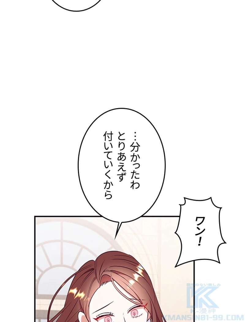 P58