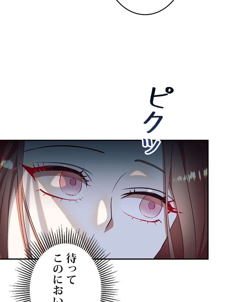 P66