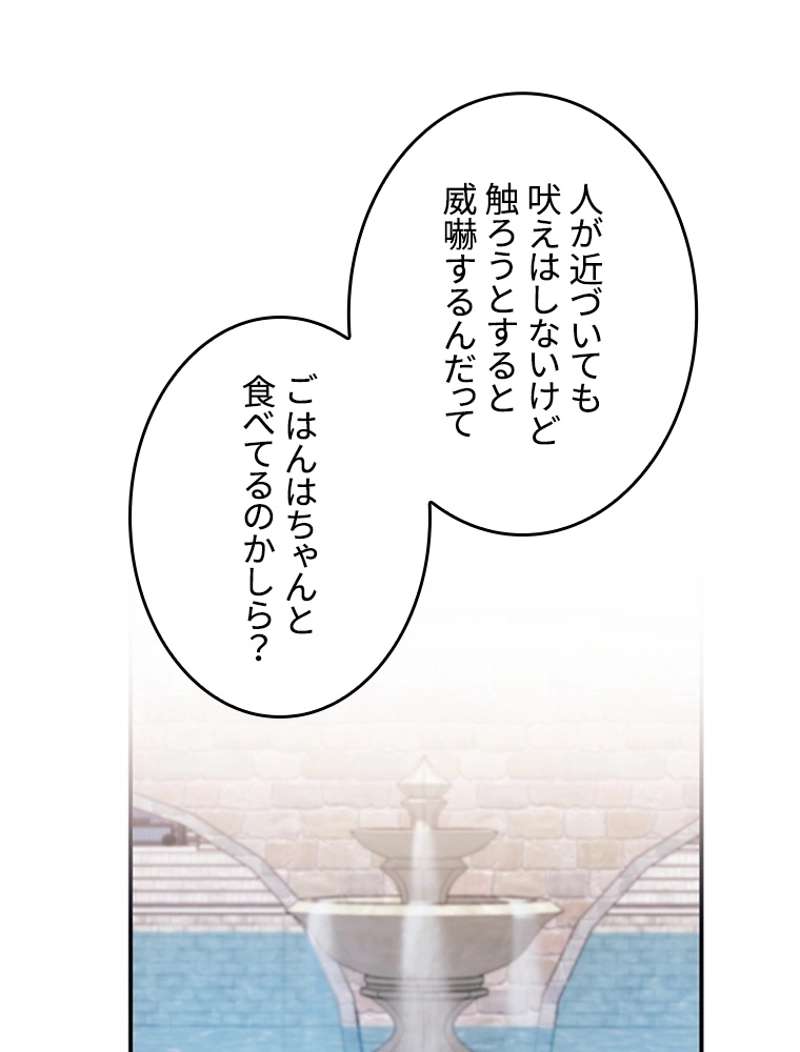 P48