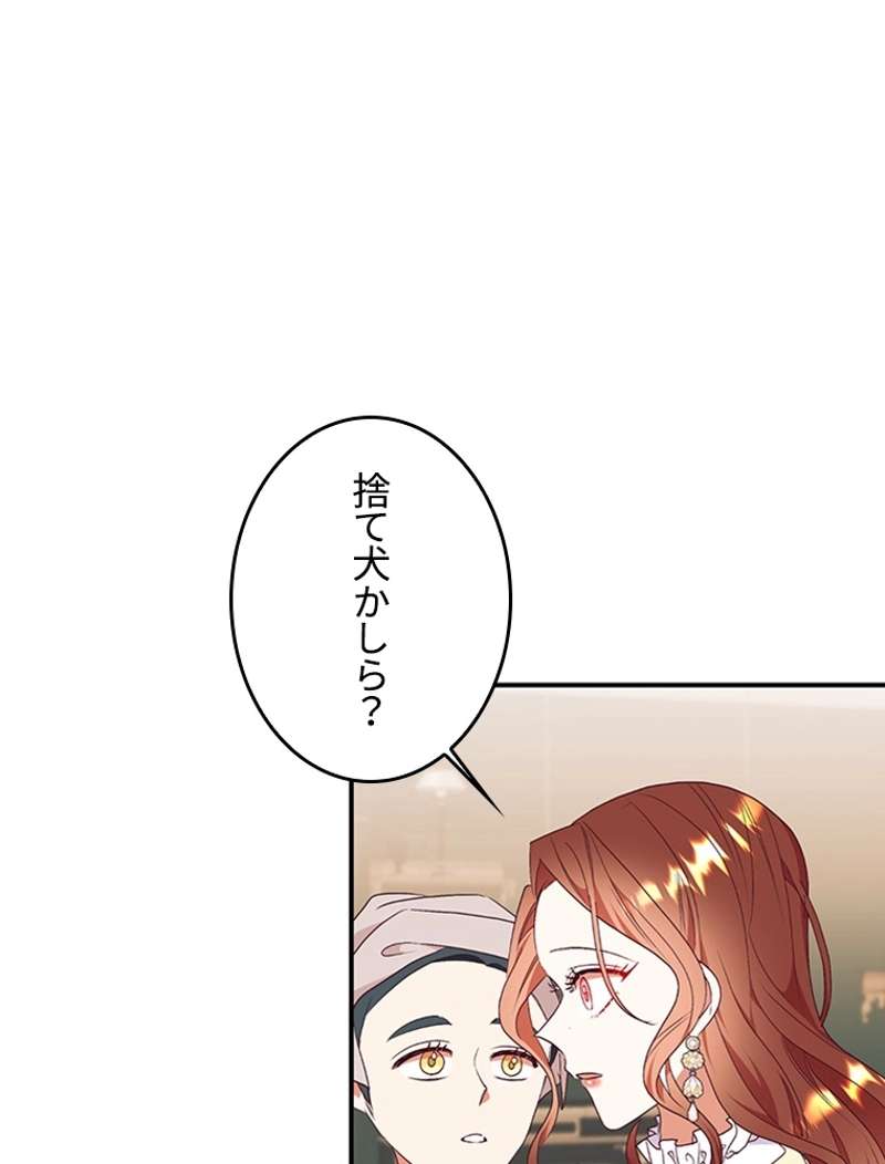 P51