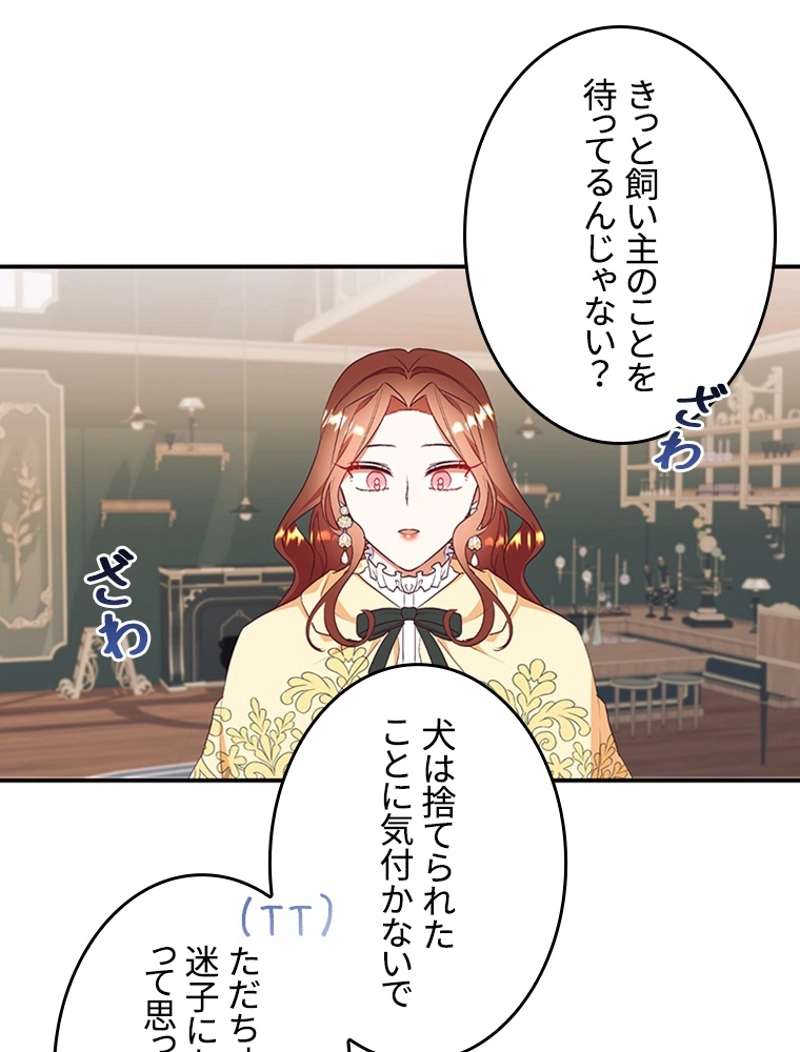 P53