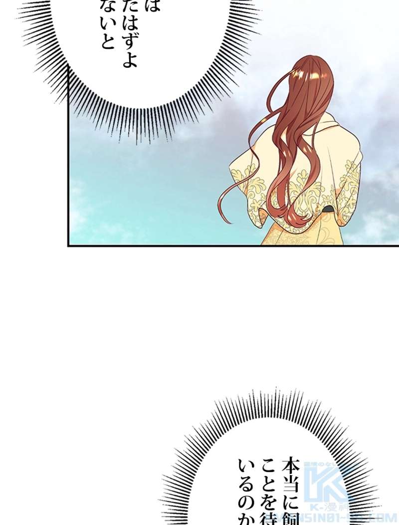 P58