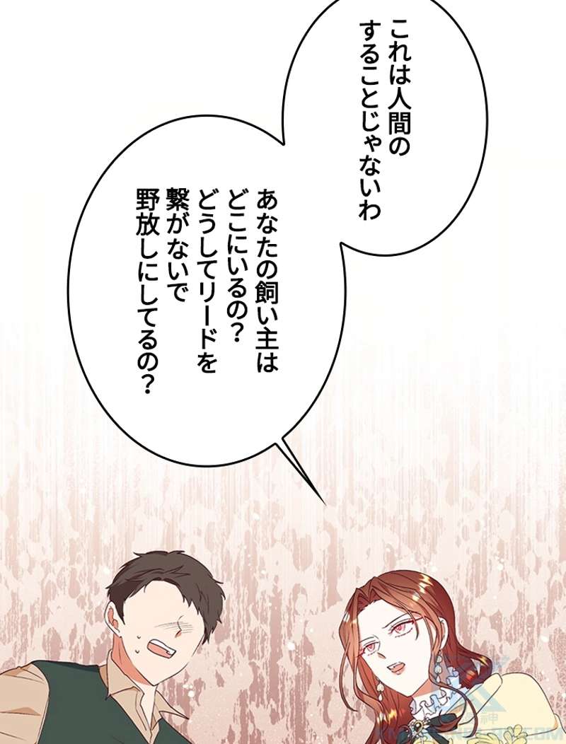 P82