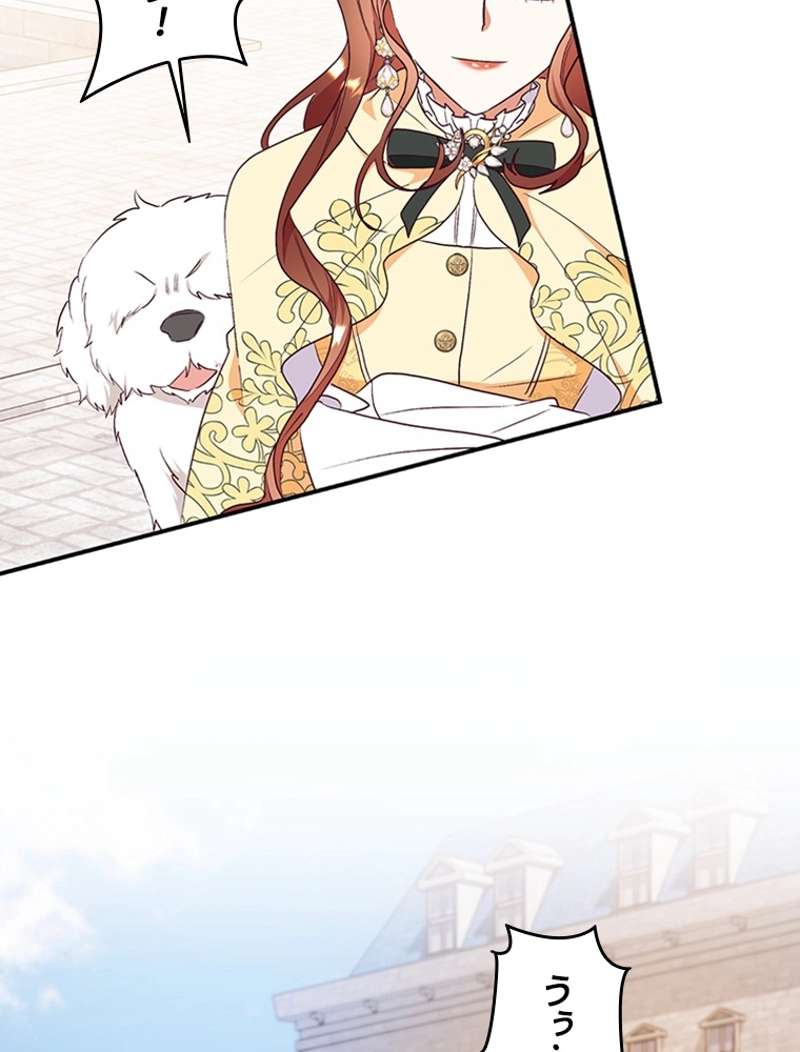 P86