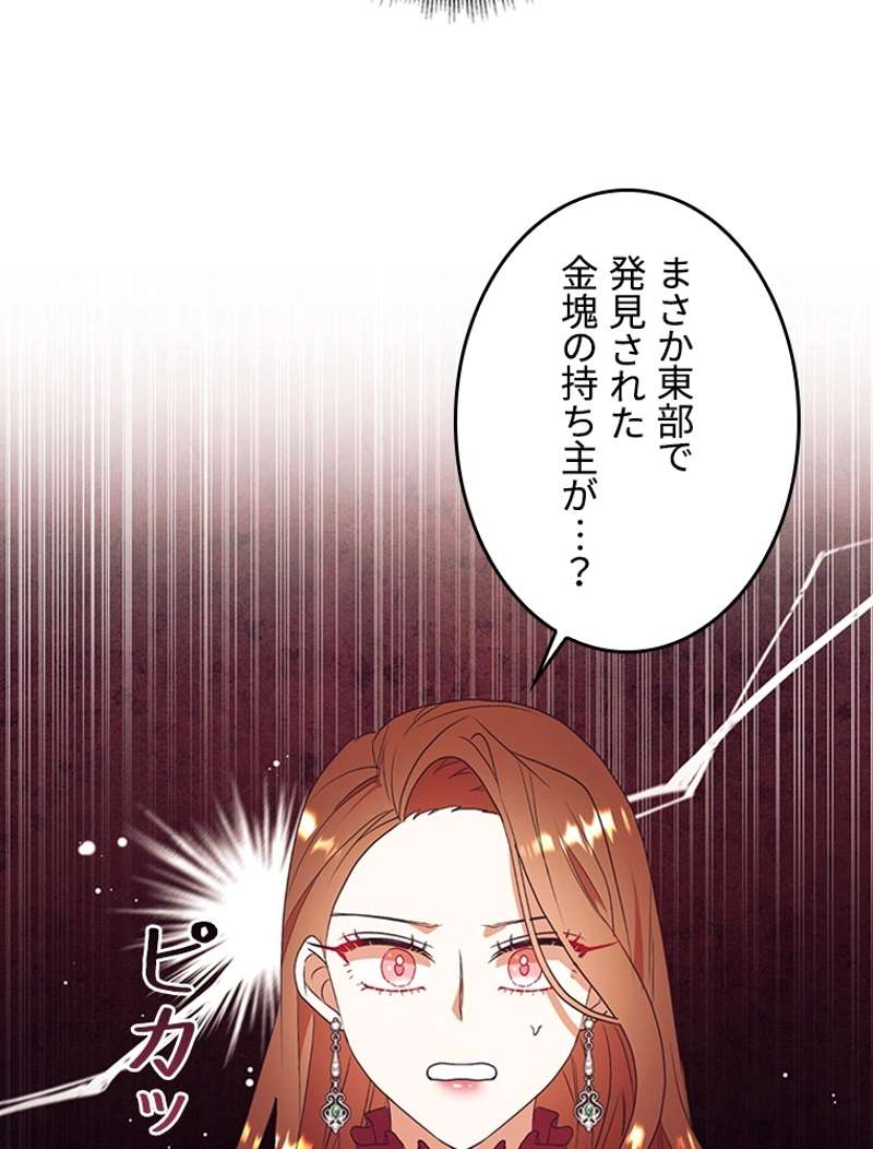 P53