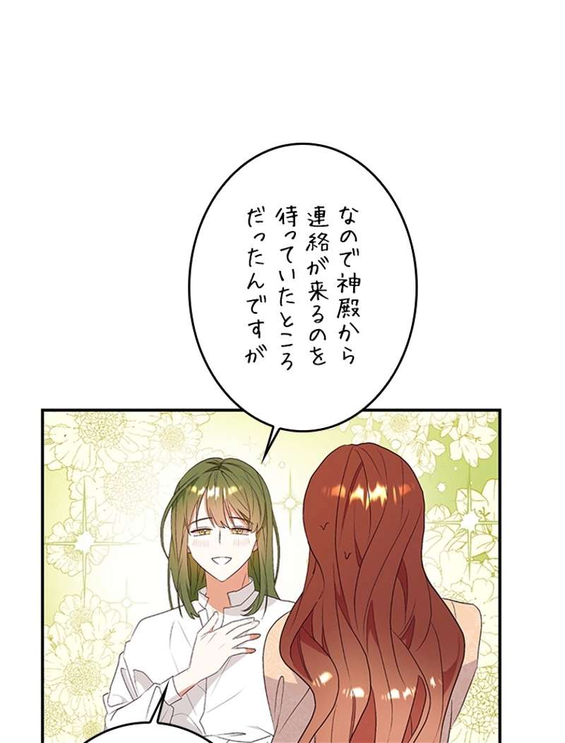 P66
