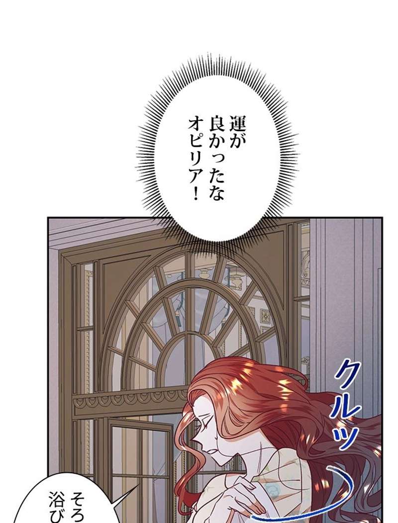 P66