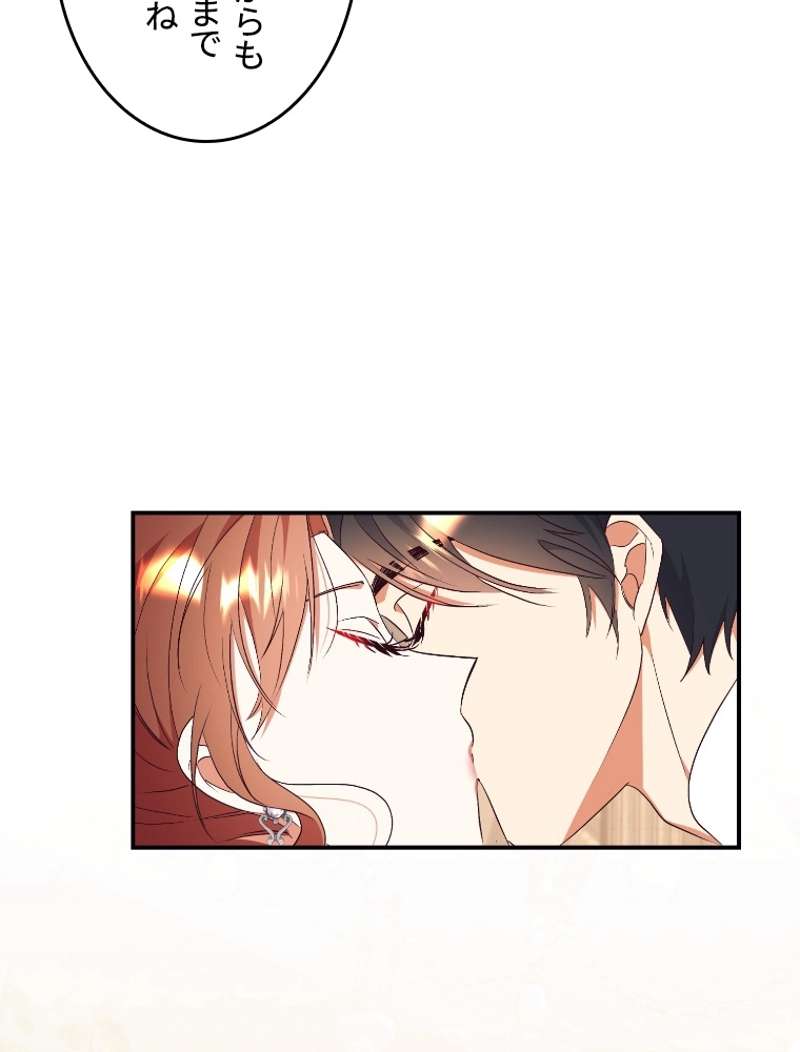 P63
