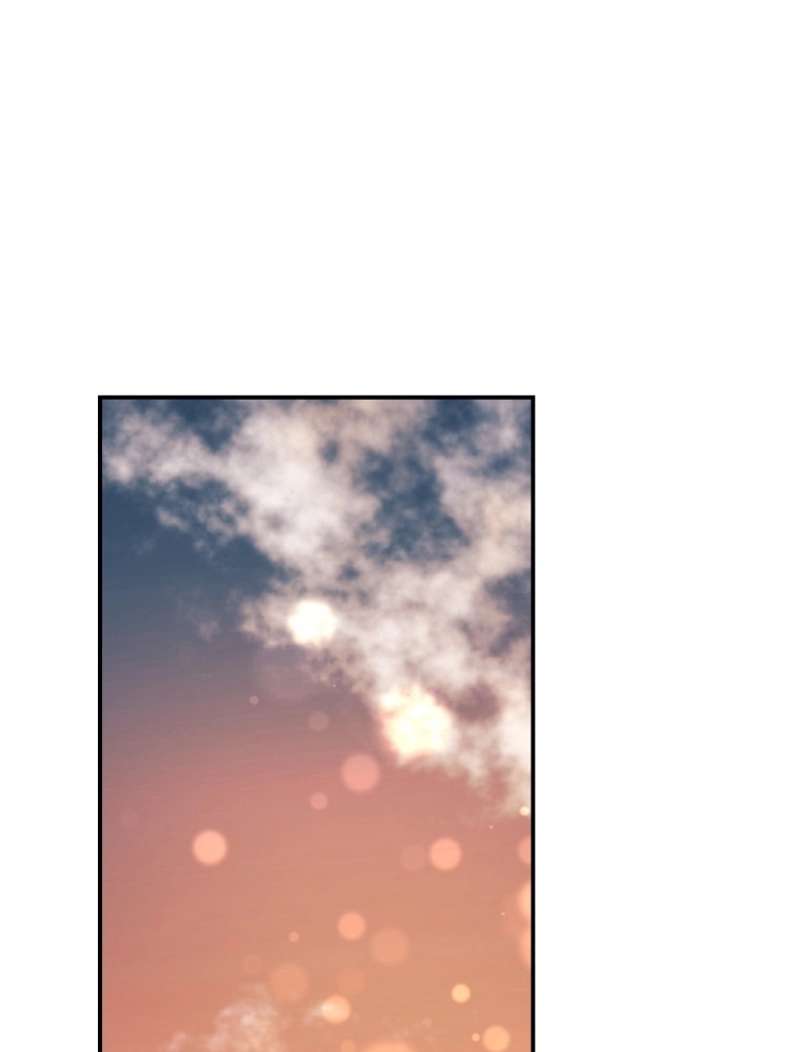 P66