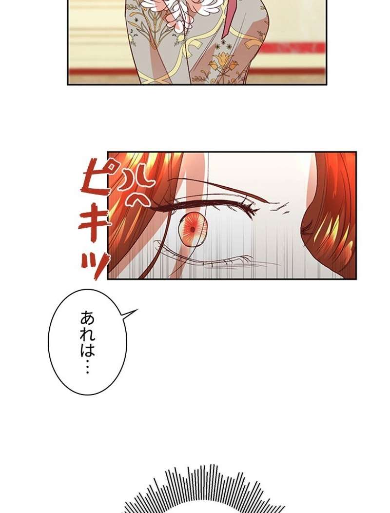 P61