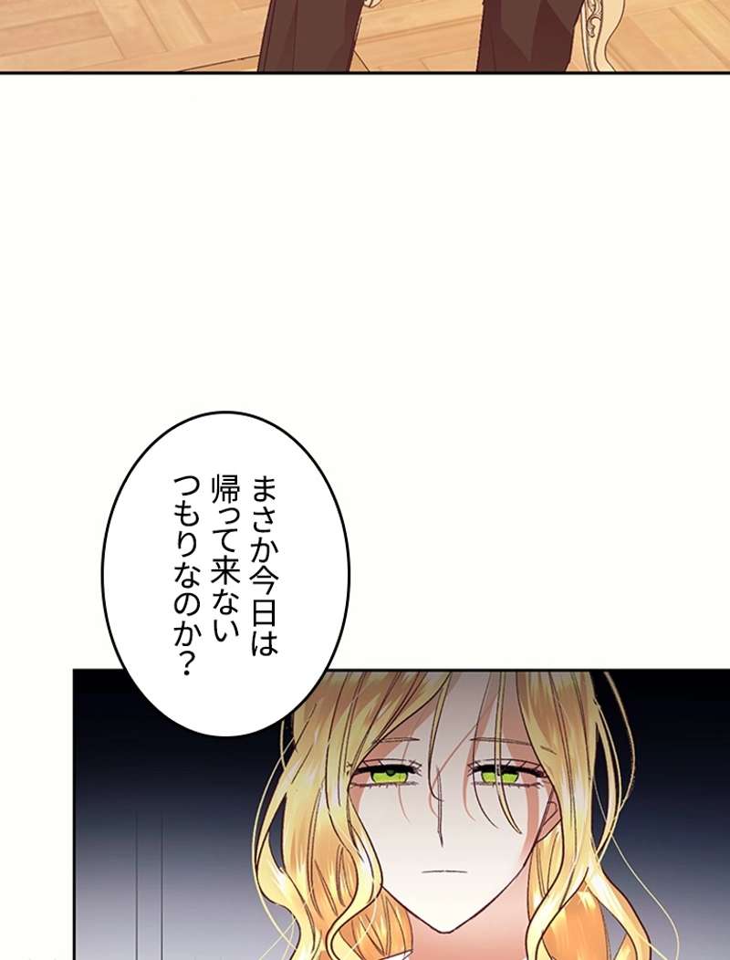 P61