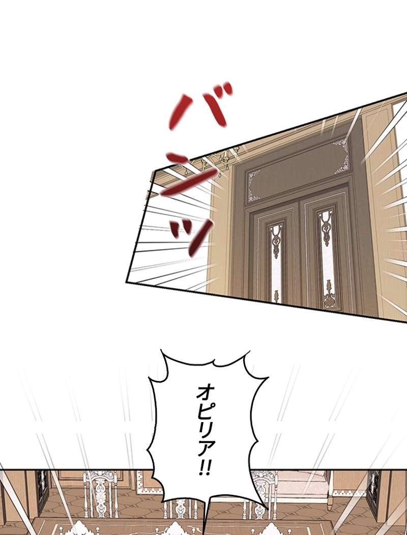 P24