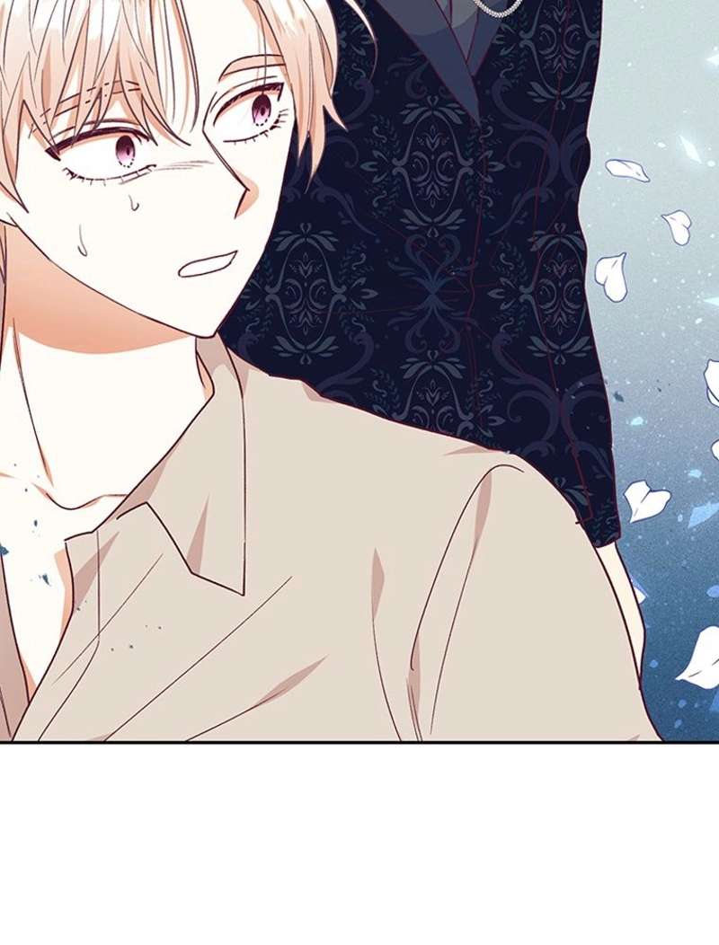 P81