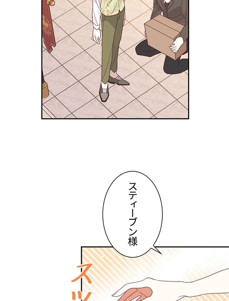 P61