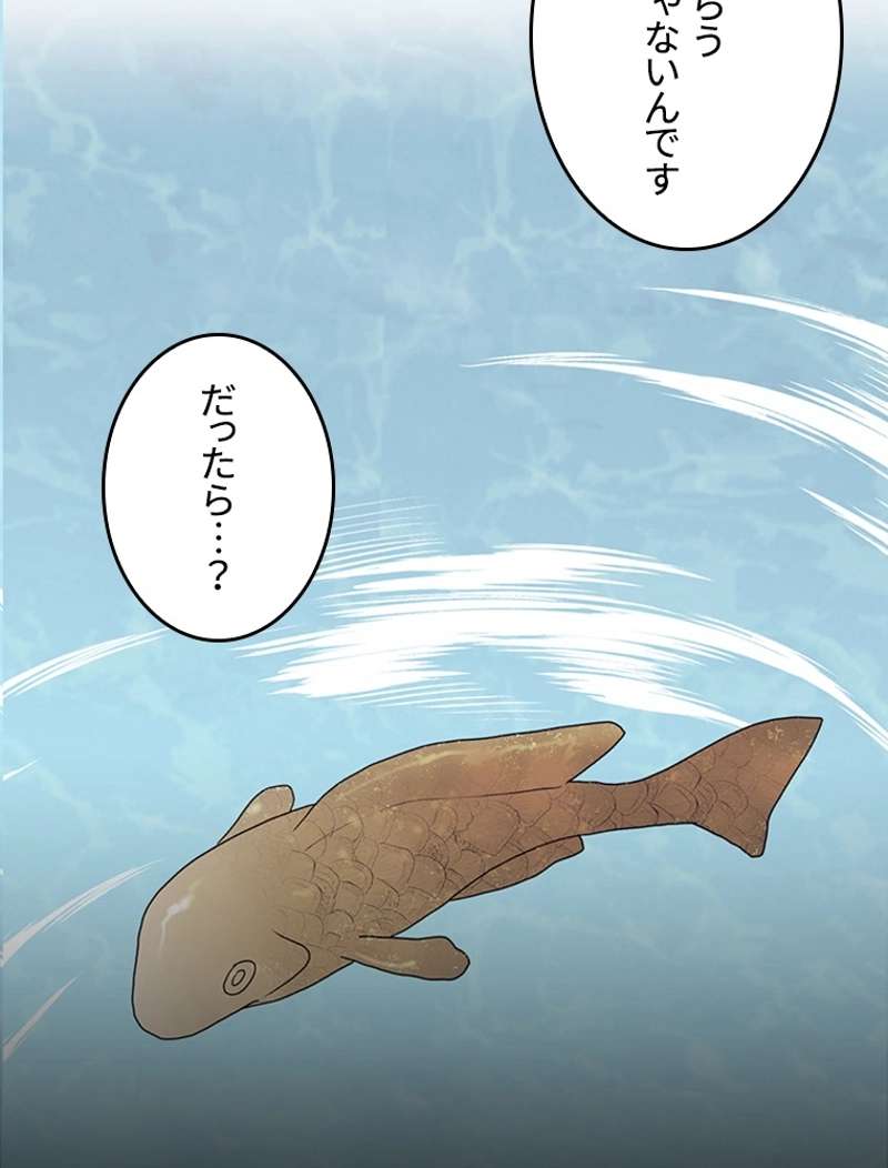 P66