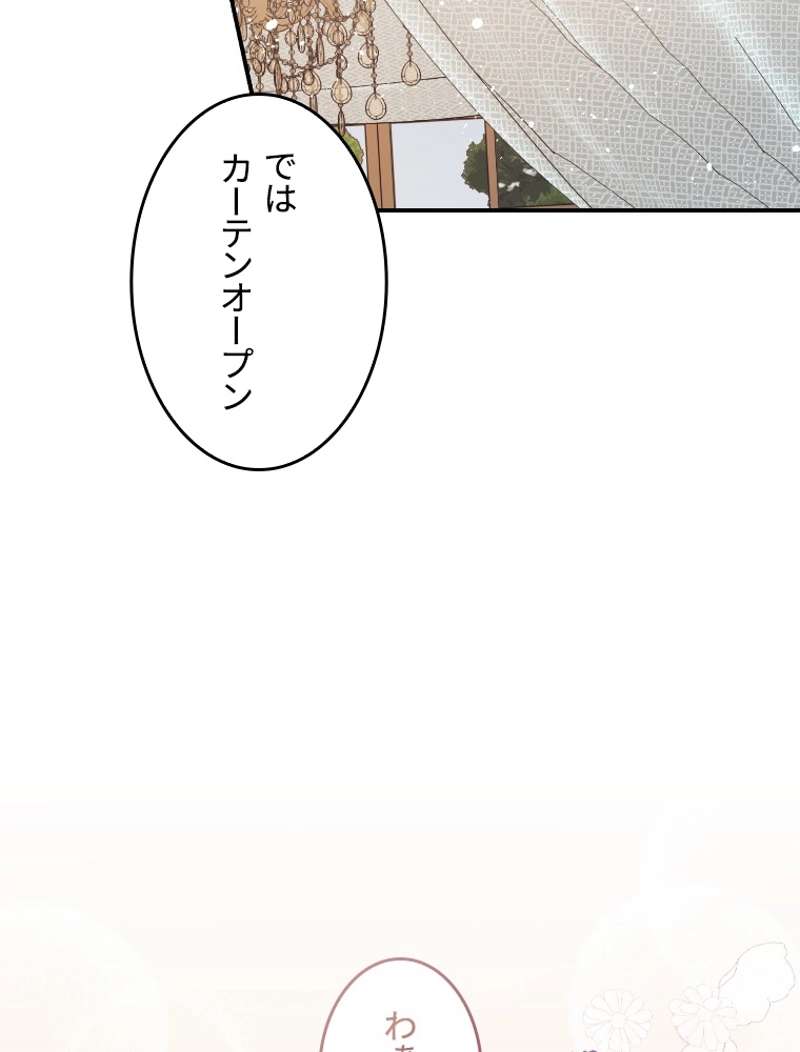 P66